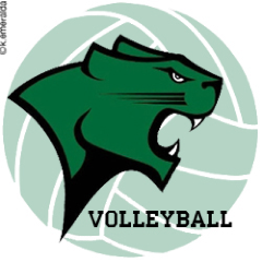 The official Twitter feed of the Chicago State volleyball program | Member of the Western Athletic Conference | NCAA Division 1