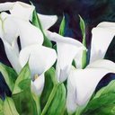 Teresa Ackerman - @ttackerman91 - Twitter