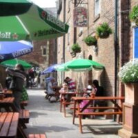 Cafe Rene (@caferene) 's Twitter Profile