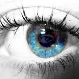 zikenziken's profile picture. 