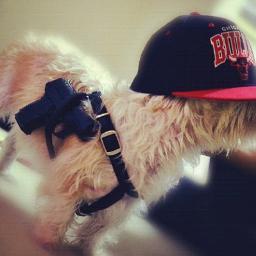 MikoMilly's profile picture. names miko and Im a stone cold killa. #streettreats