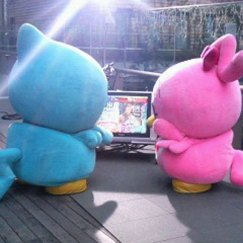 えびきすふぉゆだいすき(*^O^*)ヲバだけどヲタクに年齢は関係ない！ふみきゅんとたつみと渉サマがだいすきです(^∇^) 最近はしめちゃん、ふっかちゃん、しょぴちゃんも気になります( *´艸｀)気の合いそうな方、よろしければフォローお願いします(*^^*)