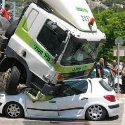 zikoziko16's profile picture. 