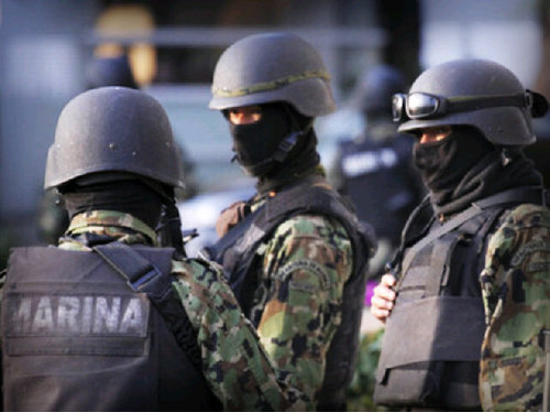 fermonte20's profile picture. Cobertura total de cualquier SDR en Tamaulipas e informacion militar que nadie mas tiene acceso.