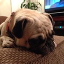 Benjamin Rushing - @benjaminrushing - Twitter