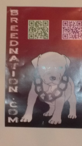 BreedNationENT's profile picture. Breed Nation Ent. Home Base for Artist/Engineers/Managers/&/Designers Follow @BreedTalk @YdotGperiod @TheNonshalant @Fadoubletz @Mistajr615 @Pro_Mo615 #BNE #615