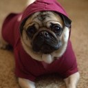 Rebecca Lauren Ault - @RebeccaLaurenAu - Twitter