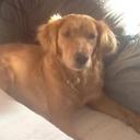 Scott Cochrane - @ScottJCochrane - Twitter