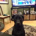 Beth Eisenberg - @BethEisenberg - Twitter