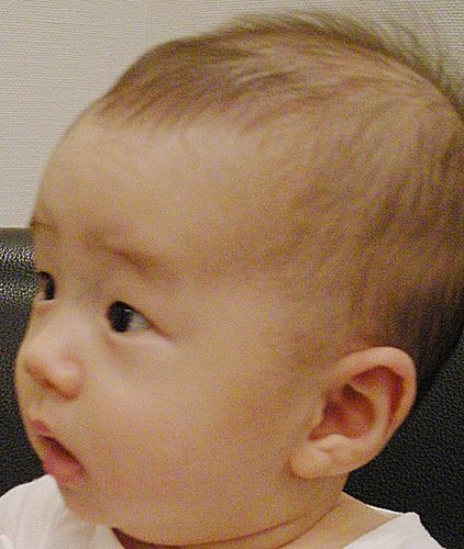 公認会計士です。簿記と会計士の受験指導をしています。趣味は料理です。