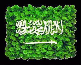 ربي ارزقني الحكمه