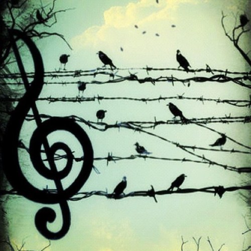 aTouchOfLyric's profile picture. Music never sleeps.