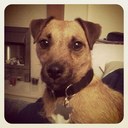 Nick Gent - @Gentyvino - Twitter