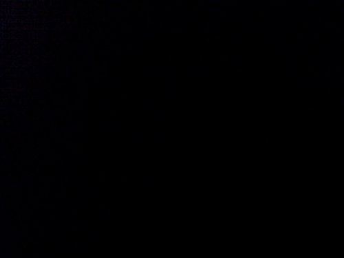 TayyKwonDo's profile picture. .