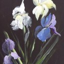 Vicky Proctor - @binkyart - Twitter