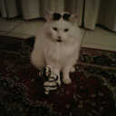 Elspeth Moore - @ElspethZA - Twitter