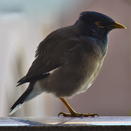 Johann_2010's profile picture. * Nur nicht normal werden und immer locker bleiben ;-)*