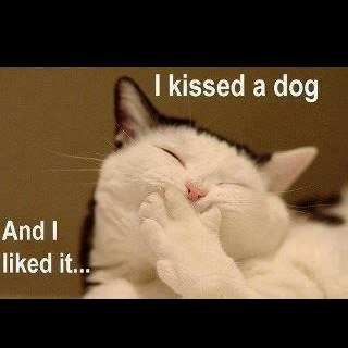 jokes2012fun's profile picture. RT me and ill follow you :).  are my posts funny? send me a tweet of what you think