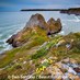 Beautiful Gower (@beautifulgower) Twitter profile photo Beautiful Gower (@beautifulgower) Twitter profile photo