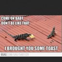 luke womble - @ballerboyluke - Twitter