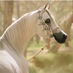 للخيل فارس (@el4san) Twitter profile photo للخيل فارس (@el4san) Twitter profile photo