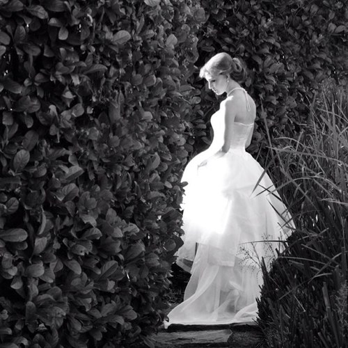 StradaPhoto's profile picture. Photo studio in Mosman, Sydney. Wedding, hens night, portrait, product & food photographer