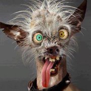 gabi19831's profile picture. 