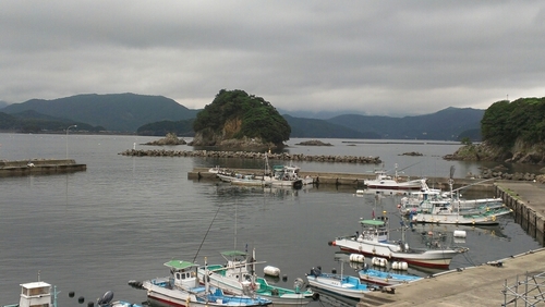 isekoji's profile picture. 