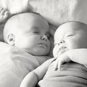 Cheryl Riddle - @gnstbcrnowner - Twitter