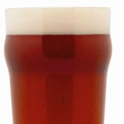 stokiecoz's profile picture. 