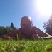 Carlos Gonzalo (@chanlee21) Twitter profile photo