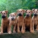 Aoife Doherty - @AoifeDoherty5 - Twitter