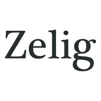 zeligsound(@zeligsound) 's Twitter Profile Photo