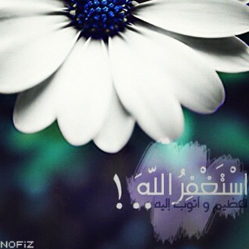 اللهم اجعلني ممن ارتقى بالقرآن♡حفظ القرآن غايتي,أحب العمل التطوعي وأعشق أجره,رضا الوالدين مطلبي فرضاهم من رضا خالقي,أسأل الله حسن الأثر والخاتمه