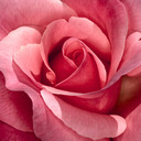 MichelleJanuary - @MichelleJanuary - Twitter