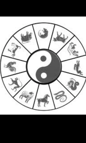 NOUVEAU CONCEPT : Les Signes Chinois .. Horoscopes des 12 signes du zodiaque chinois et leurs caracteristiques. #TeamTigre... et vous ?