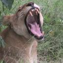 Ben Britz - @benbritz - Twitter