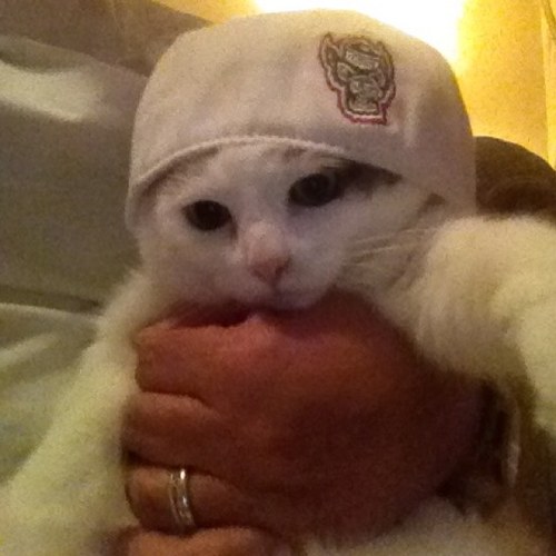 Lisa__McDonald's profile picture. 