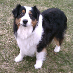 looneycreates's profile picture. designer/mother/grandmother