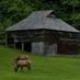 CataloocheeGSMNP (@cataloocheegsm) Twitter profile photo