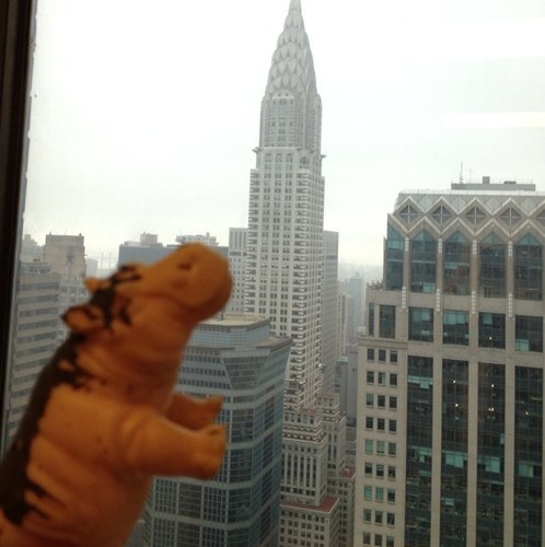 Im a traveling man. I love to sight see and enjoy a warm cozy bed.