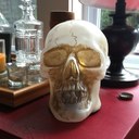 Shannon Mae Bryant  - @goosy209 - Twitter