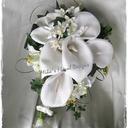 Mone Ma Ya - @MayThuWinTin - Twitter