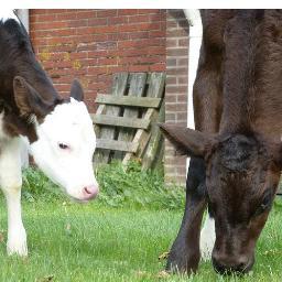 weesemanS's profile picture. 