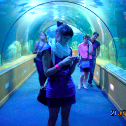 SaraFortino's profile picture. Architetta, Interior Designer, Life Stylist 
Giapponofila Incallita, Amante della Cucina, Amante degli Animali
http://t.co/Daw0fNnTLB