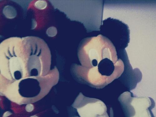 IsaregoAraujo's profile picture. 