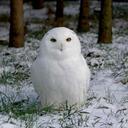 Monica Aston - @MonicaAston - Twitter