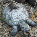 Anne Cecil - @dsmrAnne - Twitter