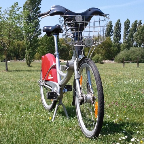 raphy972's profile picture. ♂-♪ - #Android ─ Nexus 4