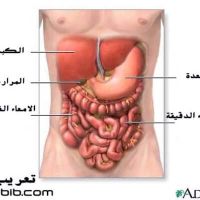 استشاري جهاز هضمي Gastroe1 Twitter